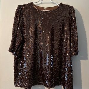 Loft XL Chocolate brown Sequined Top